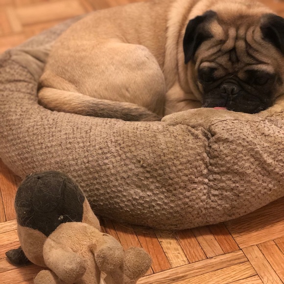 ALL NFS IS DONATED 👀 - Picture 4 of 6